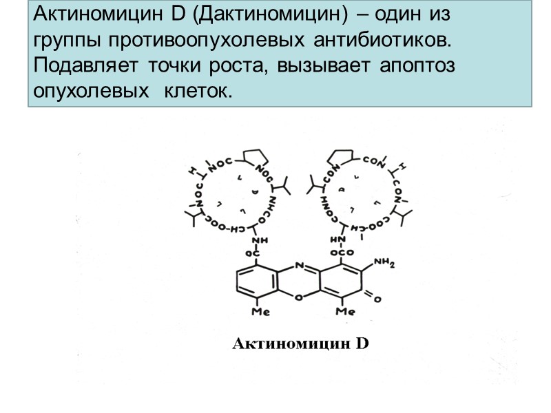 Актиномицин D (Дактиномицин) – один из группы противоопухолевых антибиотиков. Подавляет точки роста, вызывает апоптоз